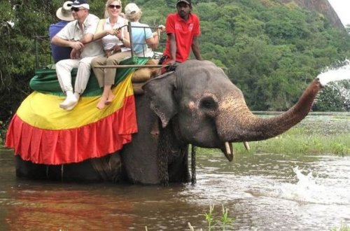 Filllərin dörd saatdan artıq işlədilməsi qadağan edildi