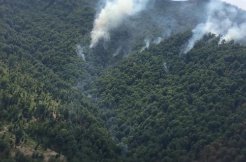 МЧС: Пожар в горной местности в Агсу потушен