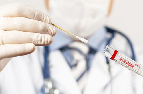 Koronavirusun bütün ştamlarından qoruyan anticismlər aşkarlandı