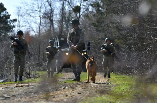 Türkiyədən Yunanıstana qaçmağa çalışan 11 FETÖ-çü saxlanılıb