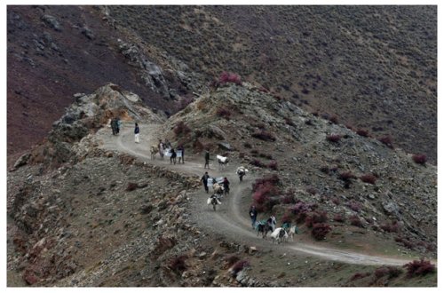 “Taliban”a qarşı müqavimət hərəkatının lideri: “Tərəflər hərbi toqquşmaya hazırlaşır”