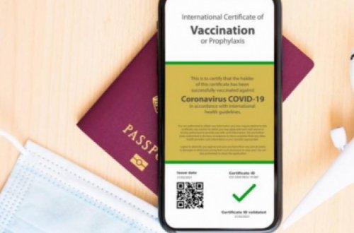 BU DA SON: Saxta peyvənd bəlli olacaq: Azərbaycanda yeni sistem tətbiq OLUNDU