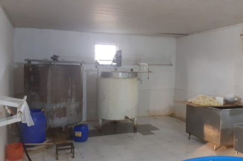 Antisanitar vəziyyətdə fəaliyyət göstərən pendir sexi aşkarlandı - FOTO