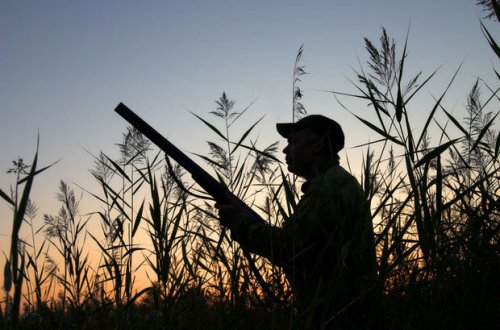 Ova cəhd edən şəxs cəzalandırılıb