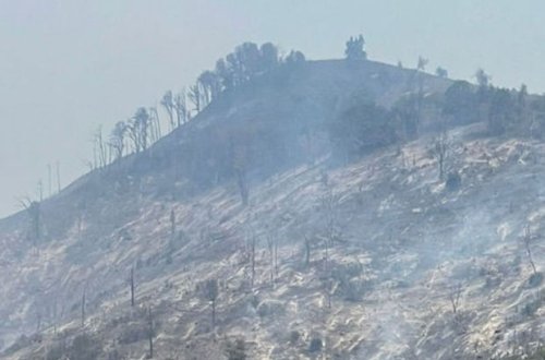 FHN: Qəbələdə dağlıq ərazidə yanğının söndürülməsi istiqamətində tədbirlər davam etdirilir - VİDEO