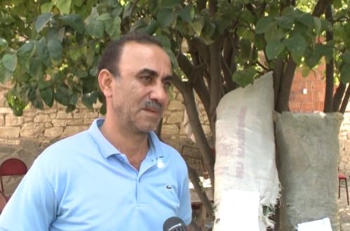 Narkotik yetişdirən Şəmkir sakini saxlanılıb - FOTO (ÖZƏL) 