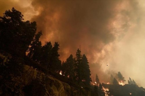Kaliforniyada meşə yanğınlarının miqyası açıqlanıb