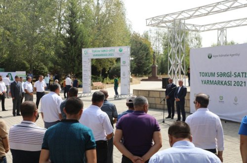 Bu gündən respublika toxum sərgi-satış yarmarkasına start verilib