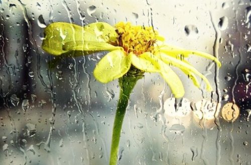 Sabah yağış yağacaq