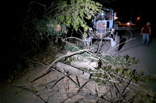 Gəncədə güclü külək bir sıra fəsadlara yol açıb -FOTO (ÖZƏL) 