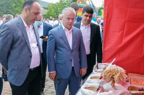 Şəkidə keçirilən toxum sərgi-satış yarmarkasında 30-dan çox sortun toxumu təqdim edilib - FOTO