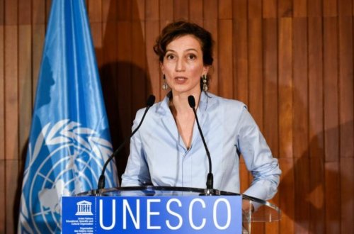 YUNESKO-nun baş direktoru dünyada qoruqların sahəsini iki dəfə artırmağı təklif edib
