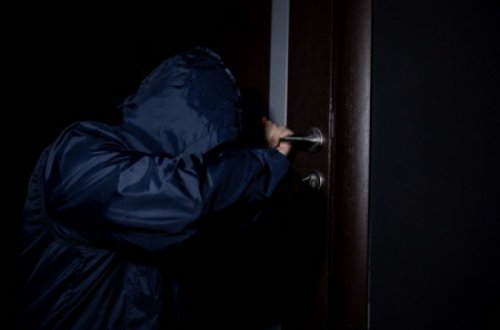 Bakıda qadına məxsus torpaq sahəsindən 18 min manatlıq oğurluq olub