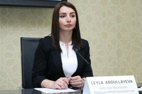 Leyla Abdullayeva Qarabağda minatəmizləmə işlərinin statistikasını açıqladı – FOTO