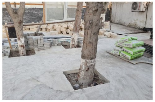 Bakıda tikinti aparılan ərazidəki ağaclar nəzarətə götürüldü - RƏSMİ