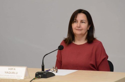 Pandemiya akademik tədrisə ciddi zərbə vurdu - Vəfa Yaqublu