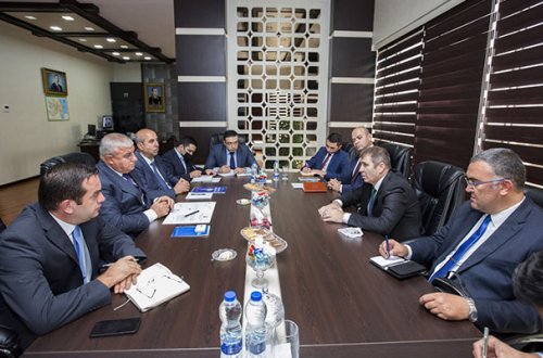 Azərbaycan və Türkiyə narkotikə qarşı birgə mübarizə aparacaq