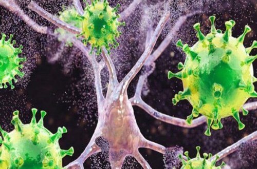 COVID-19 yaymaqda ittiham olundu: 5 il azadlıqdan məhrum edildi