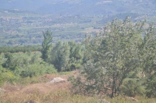 Türkiyədə təlim təyyarəsi qəzaya uğrayıb