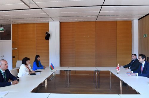Azərbaycan və Gürcüstanın parlament sədrləri arasında görüş keçirilib
