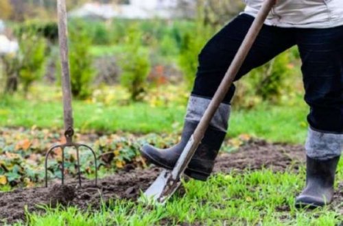 Bağını şumlayarkən tabut çıxdı: İçinə baxanda... - İNANILMAZ