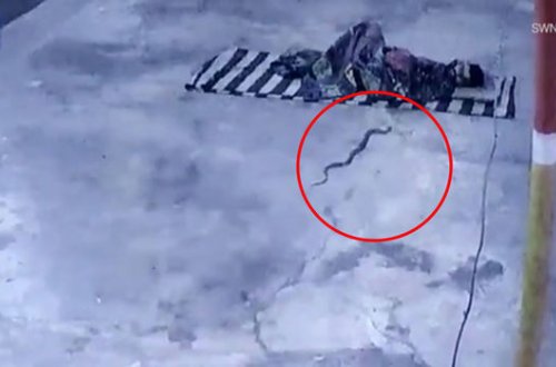 Yatağına ilan girən kişinin qorxu dolu anları - VİDEO