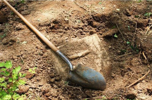 Azərbaycanda DƏHŞƏT - Arvad ərini öldürüb, kolluqda gizlətdi