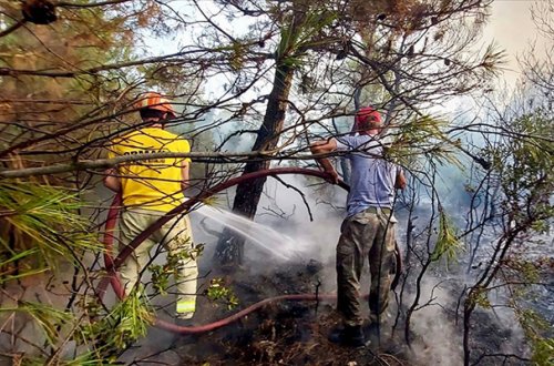 Antalyada meşə yanır - Video