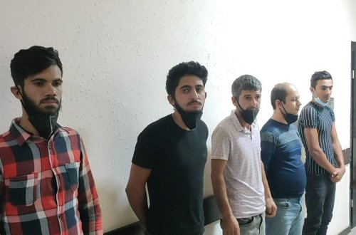 Cəlilabadda mal-qara oğurlayan dəstə saxlanılıb