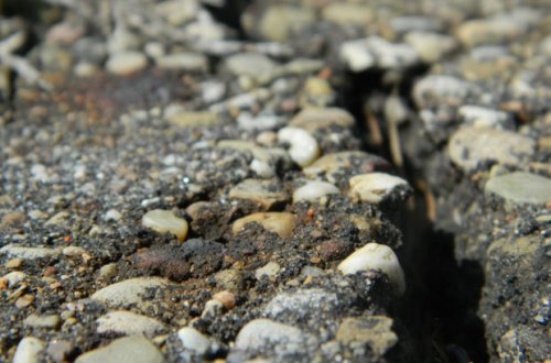 İranda 5,2 bal gücündə zəlzələ