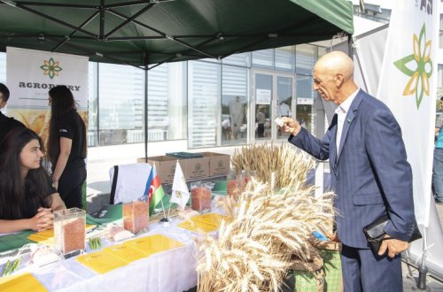 Respublika toxum sərgi-satış yarmarkası öz işini uğurla yekunlaşdırdı