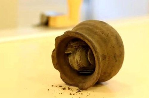 Meşədə gəzintiyə çıxarılan it xəzinə aşkar etdi - FOTOlar