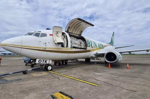 İndoneziyada yük təyyarəsi qəzaya düşdü