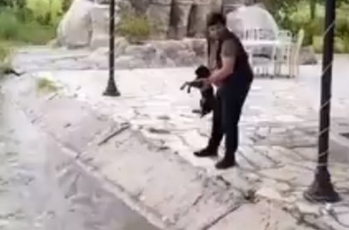 İti su kanalına atan şəxs məsuliyyətə cəlb olunub