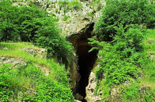 Ermənilər Azıx mağarasından 90 qutu maddi sübut aparmaq istəyirdilər