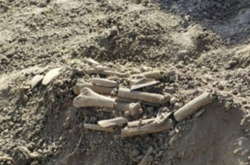 Cəlilabadda qədim məzarlıq aşkarlanıb - FOTO