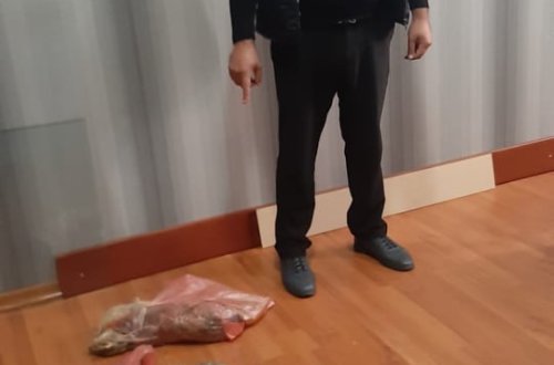 Tovuzda qanunsuz ov edən şəxs saxlanılıb - FOTO (ÖZƏL)