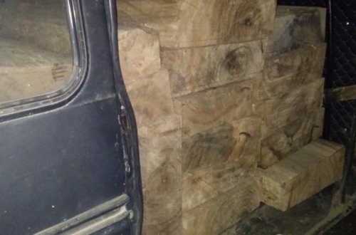 Meşə materiallarını qanunsuz daşıyan şəxslər müəyyən edilib, iş prokurorluğa göndərilib