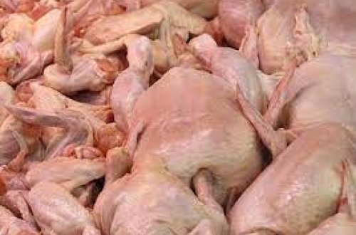 Rusiyanın bir diyarından quş əti və yumurta gətirilməsinə qadağa qoyulub