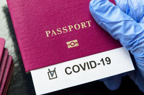 Saxta COVID-19 pasportu verən daha bir həkim ifşa olundu