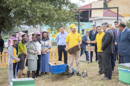 “Şəhərdən Kəndə” aqroekoturizm layihəsi çərçivəsində daha bir təsərrüfata dəstək göstərilib