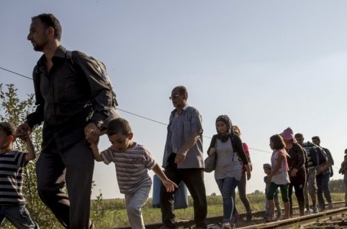 Böyük Britaniyaya rekord sayda qanunsuz miqrant gəlib