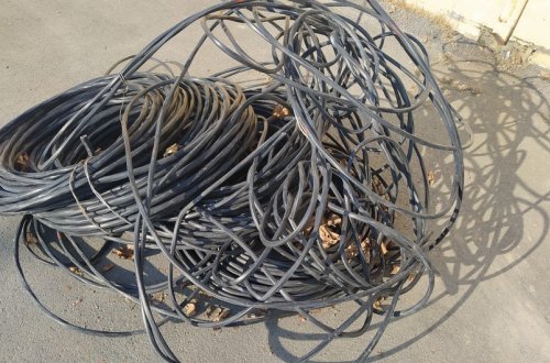 Salyanda oğurluq edən şəxs saxlanılıb