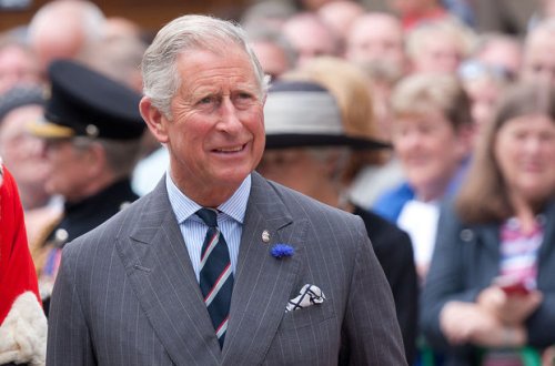 Britaniya şahzadəsi yeni telekanal açıb