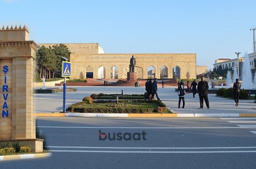 Sahibsiz küçə itləri Şirvan İH ərazisində niyə toplanır? – FOTO/VİDEO