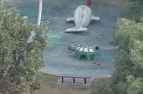 Parkda qorxulu anlar - Qurd uşağın ölümünə səbəb oldu - VİDEO