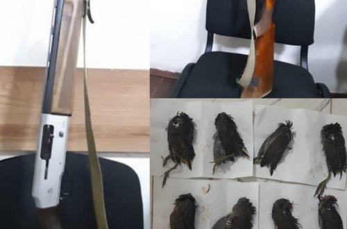 Astarada qanunsuz ov edənlər saxlanılıb