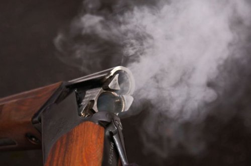 Ağstafada atası ilə bacısını güllələyən şəxsə ağır cəza verildi