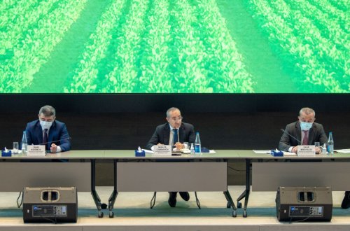 “Aqroparkların kənd təsərrüfatının inkişafındakı rolu” mövzusunda tədbir keçirilib