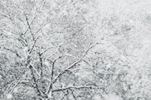 Bu ərazilərə qar yağacaq — Bu günün HAVASI